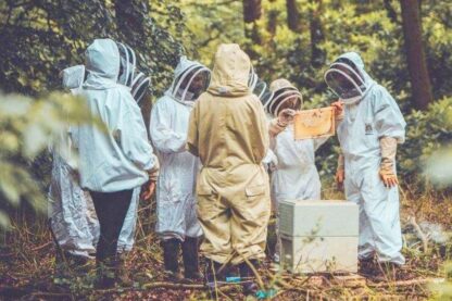 Beekeeping Experience for One at The London Bee Company