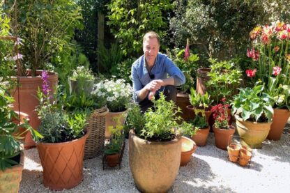 Container Gardening Online Course Taught by Chris Beardshaw