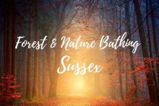 Forest Bathing and Woodland Wellbeing Walk for One in Brighton