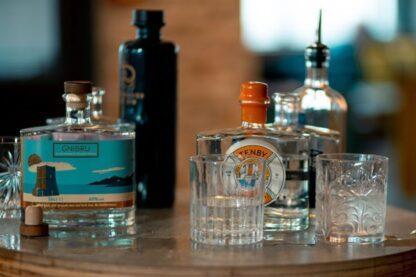 Gin Tasting Experience for Four at In The Welsh Wind Distillery