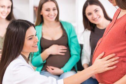 Introduction to Midwifery Online Course for One