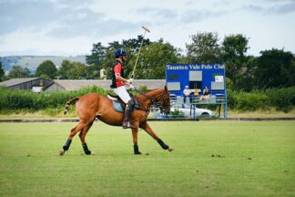 Introduction to Polo with Lunch for One at Taunton Vale Polo Club