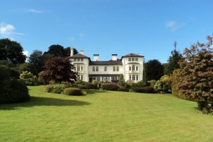 One Night Break at the Falcondale