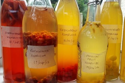 Online Food or Drink Fermentation Class with The Fermentarium