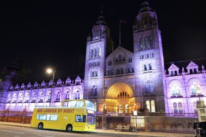 See London By Night Tour for Two