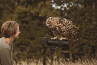 Three Hours Birds of Prey Photography Experience for Two with Mercer Falconry
