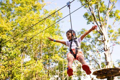 Treetop Adventure for One at Go Ape