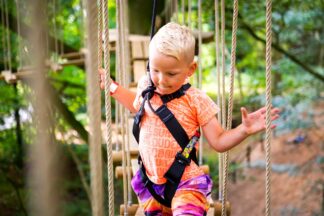 Treetop Adventure Plus for One at Go Ape