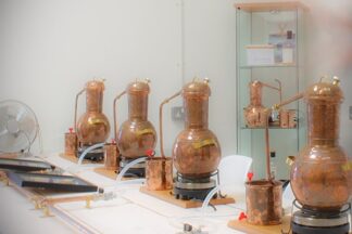 Virtual Gin School Experience for Two with a Master Distiller from Pixel Spirits Distillery