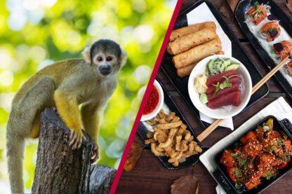 ZSL London Zoo Entry and Six Dish Sharing Menu with Dessert for Two at Inamo