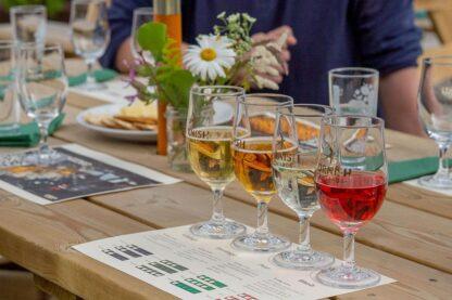 Cider Farm Tour and Tasting for Two at Cornish Orchards